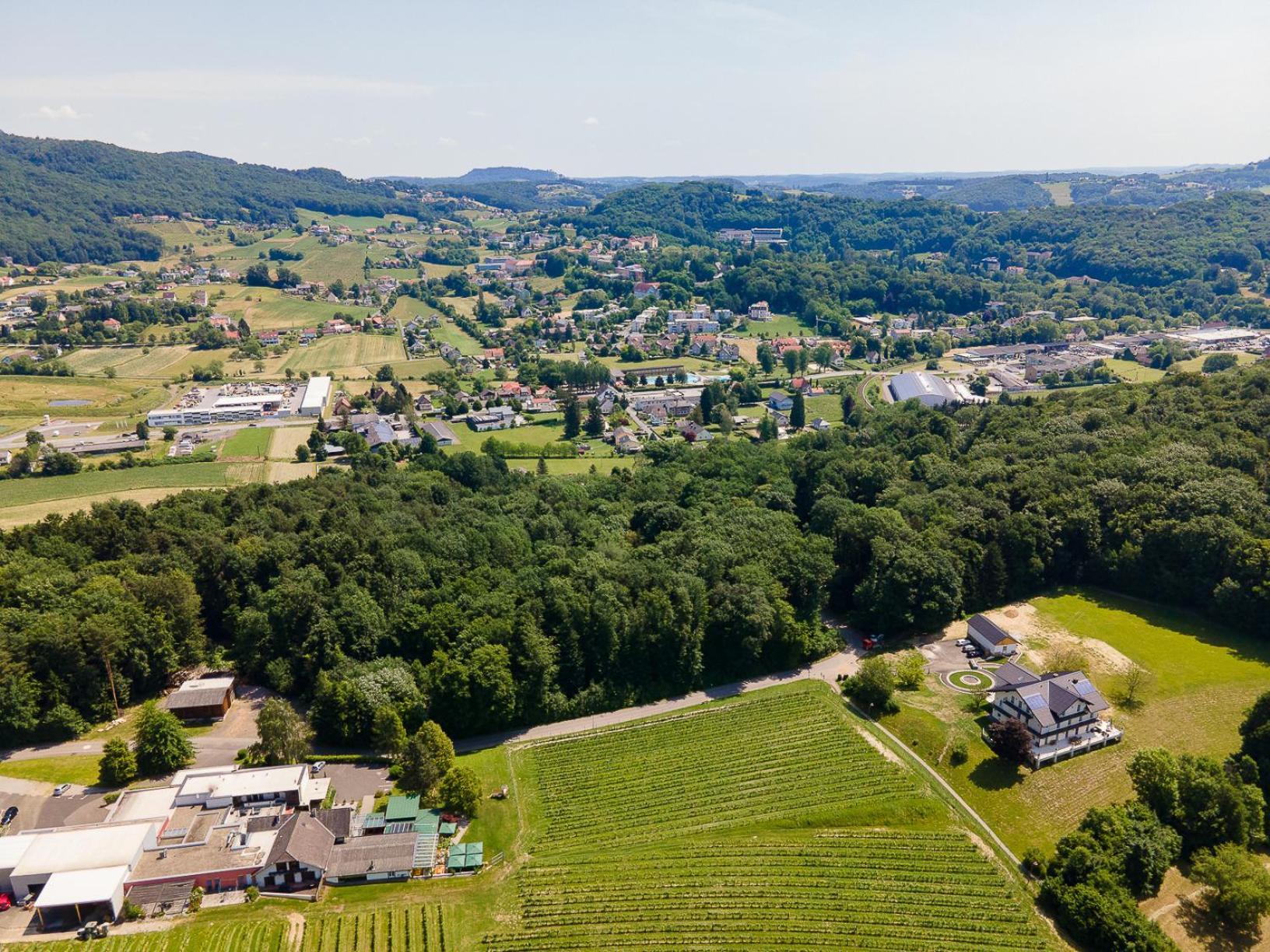 Residenz Styrian Toskana Splendid Bad Gleichenberg Buitenkant foto